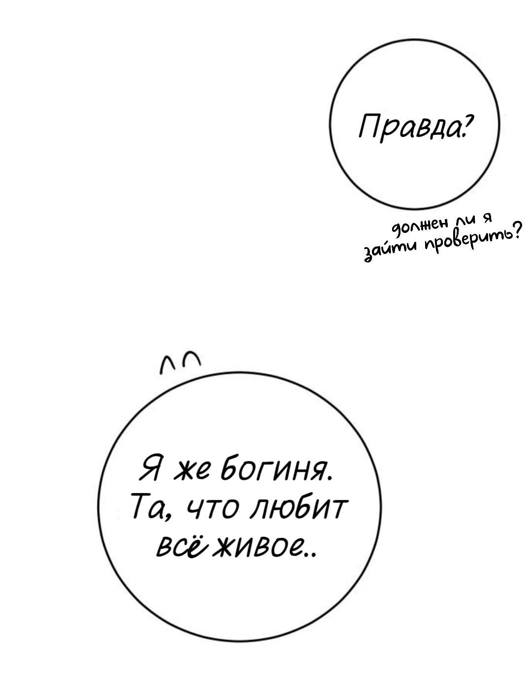 Манга Сказание о фее - Глава 142 Страница 15