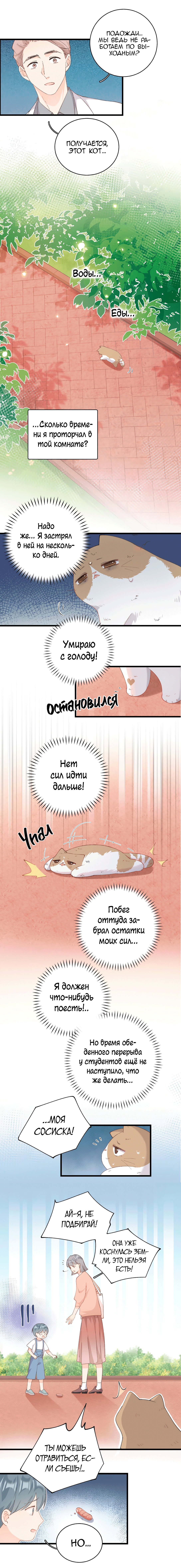 Манга Кошачье возмездие - Глава 26 Страница 4