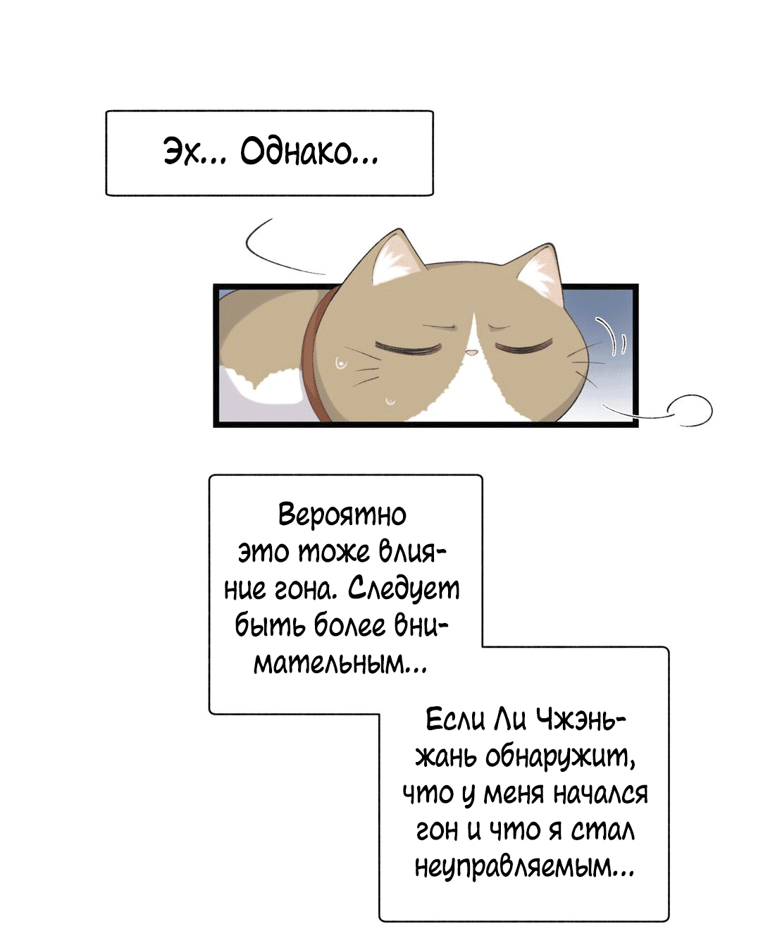 Манга Кошачье возмездие - Глава 30 Страница 12