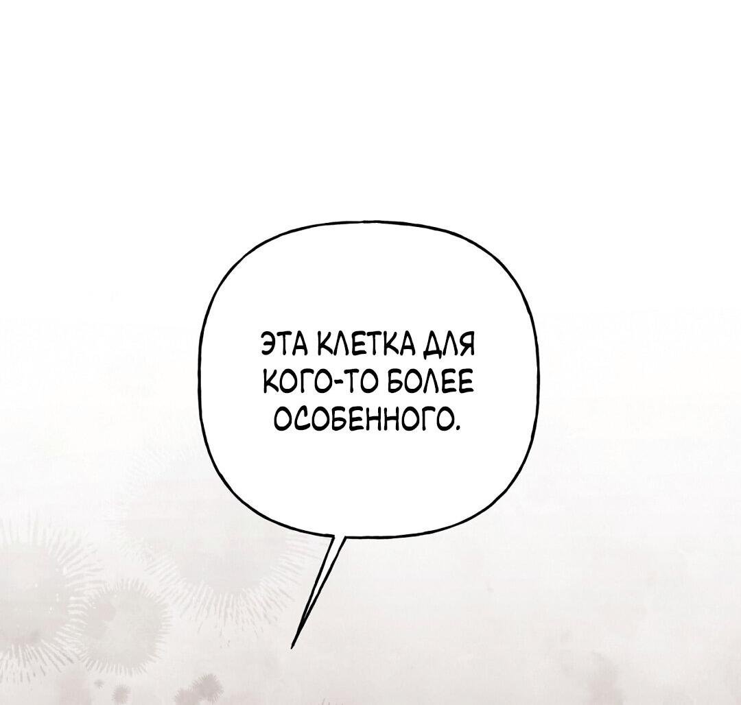 Манга Песнь зверей - Глава 15 Страница 54