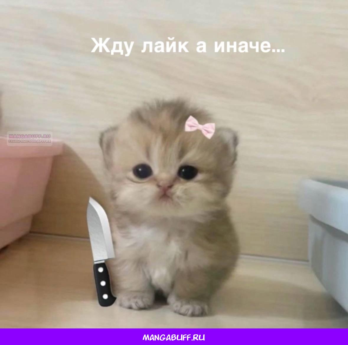 Манга Это всего лишь брак по контракту - Глава 71 Страница 60