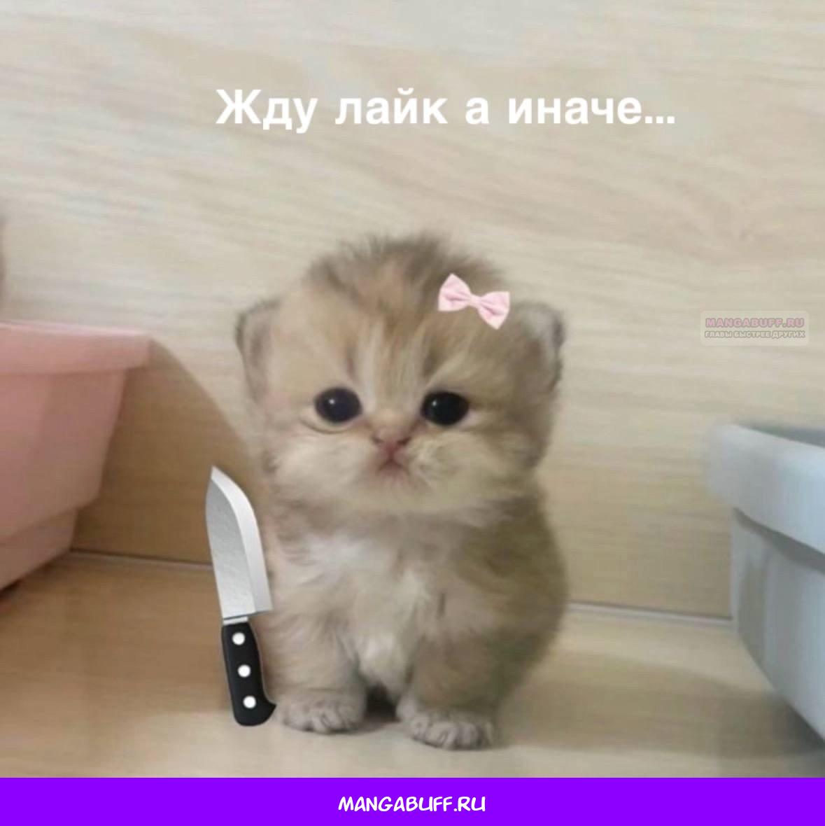 Манга Это всего лишь брак по контракту - Глава 65 Страница 68