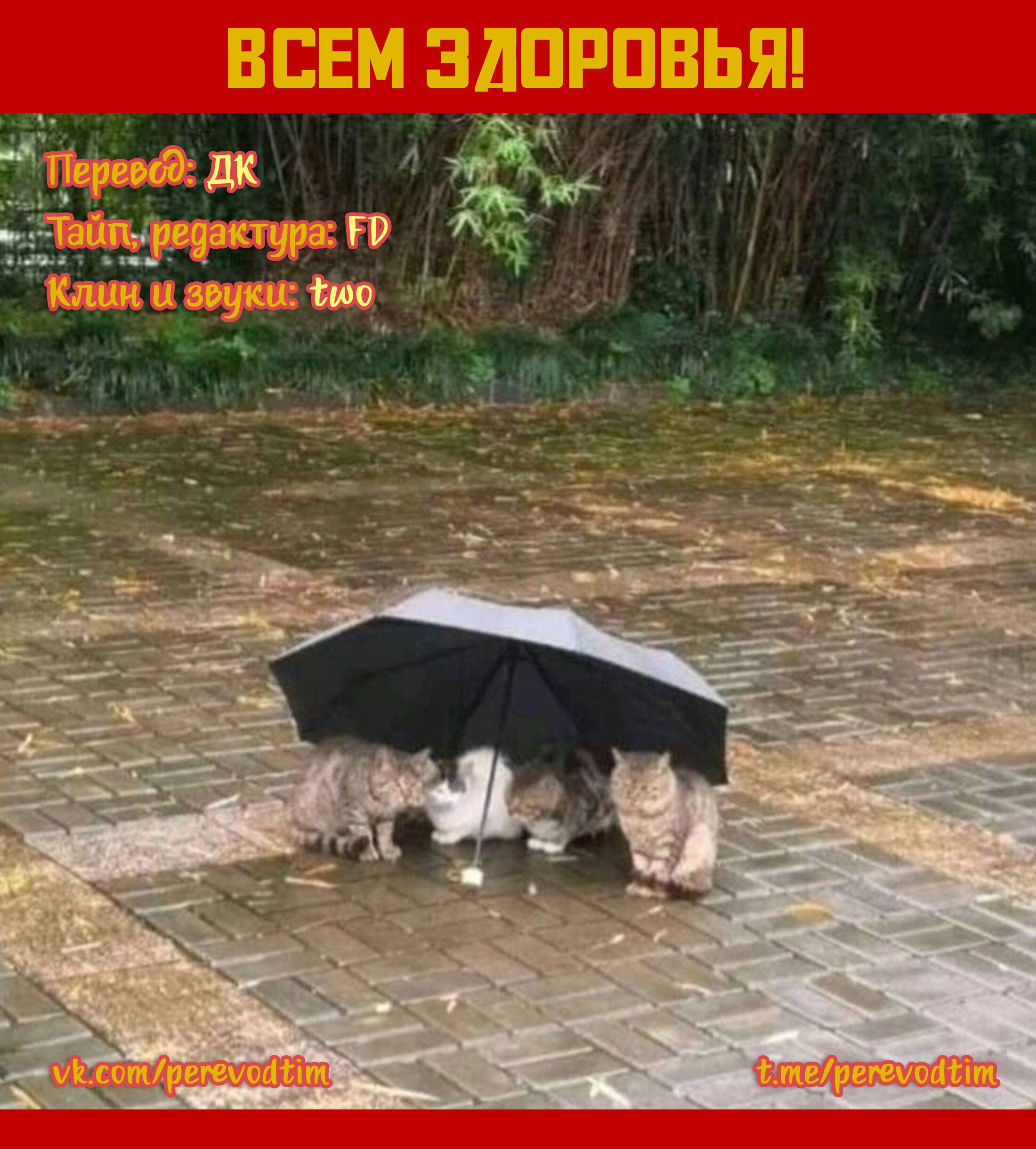 Манга Великий из Бродячих Псов: Гав! - Глава 86 Страница 9