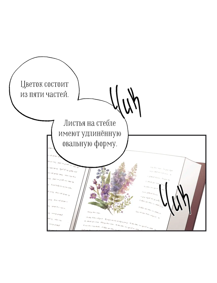 Манга Сад Эстера - Глава 1 Страница 38