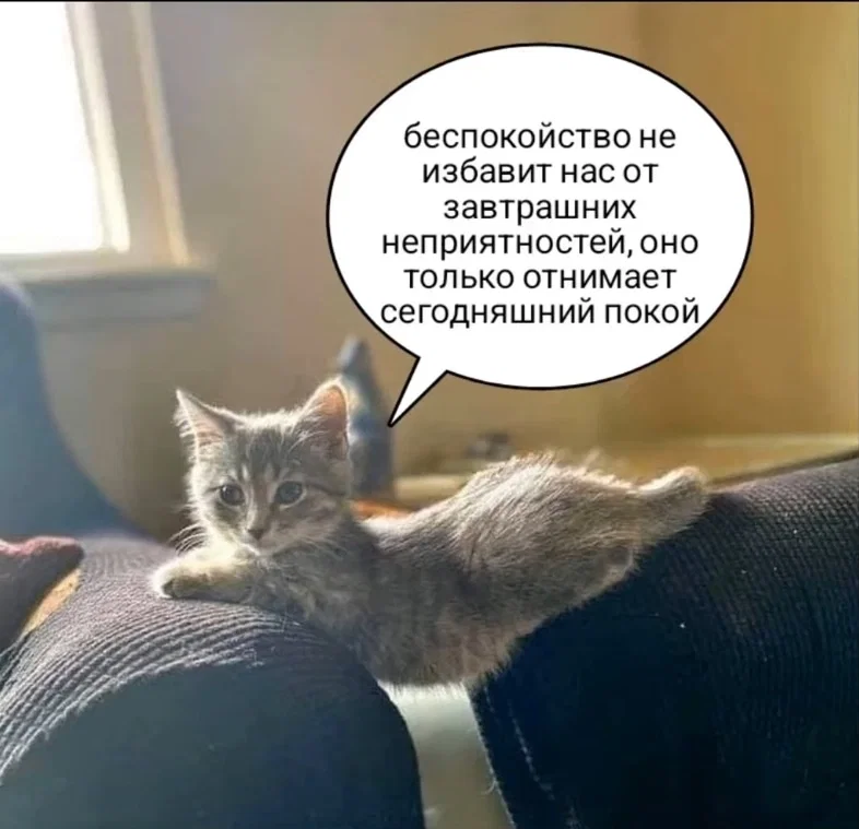 Манга Пьяница-бандит покупает девушку-рабыню - Глава 23 Страница 19