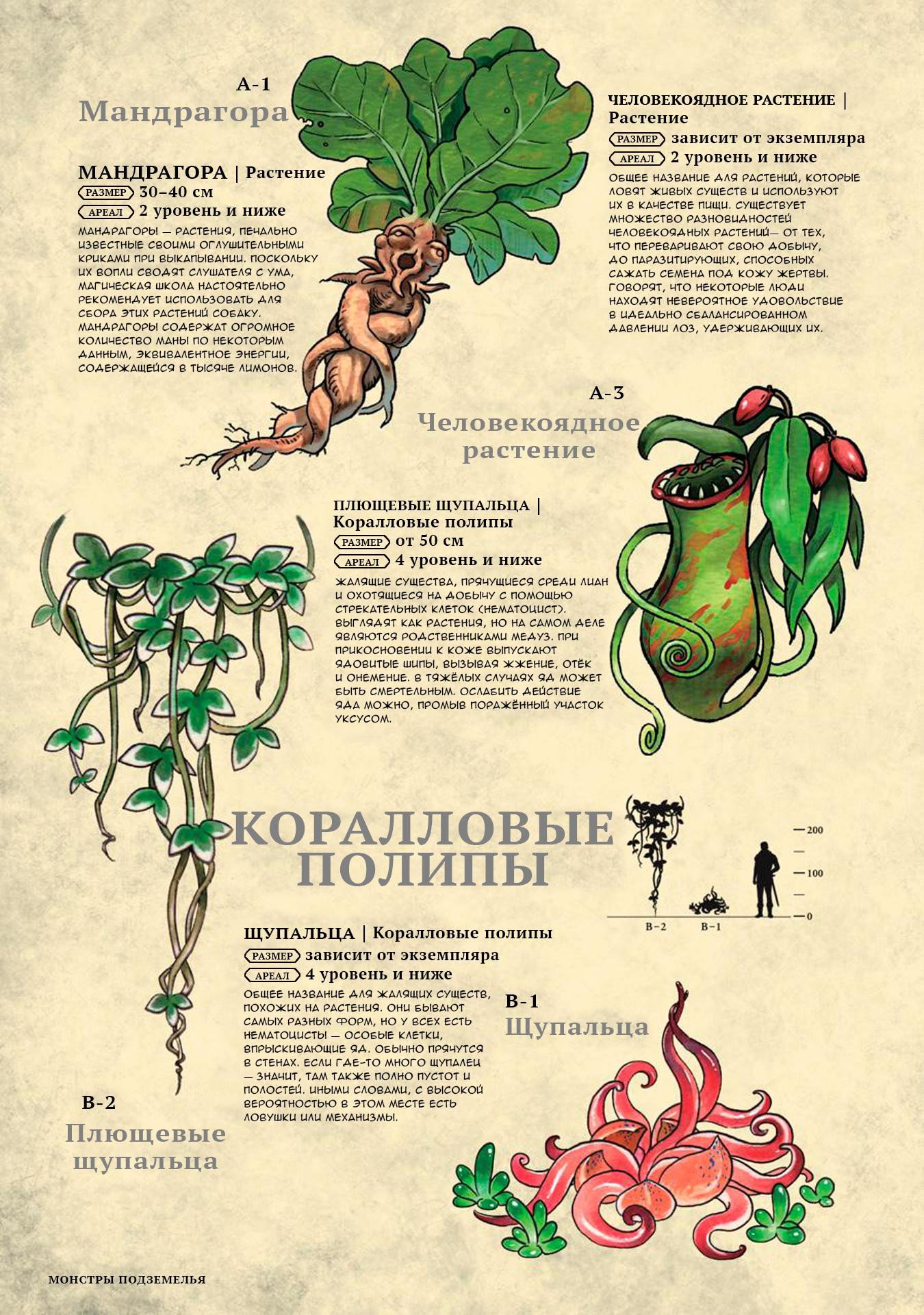 Манга Путеводитель по миру "Подземелья вкусностей": Библия искателя приключений - Глава 27 Страница 3