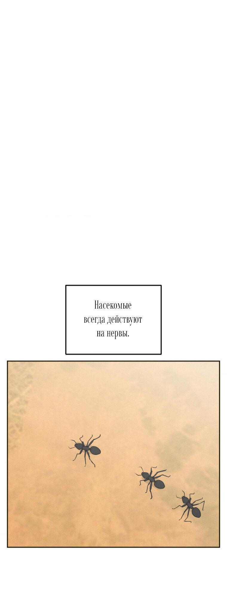 Манга Дорогой плюшевый мишка - Глава 11 Страница 1