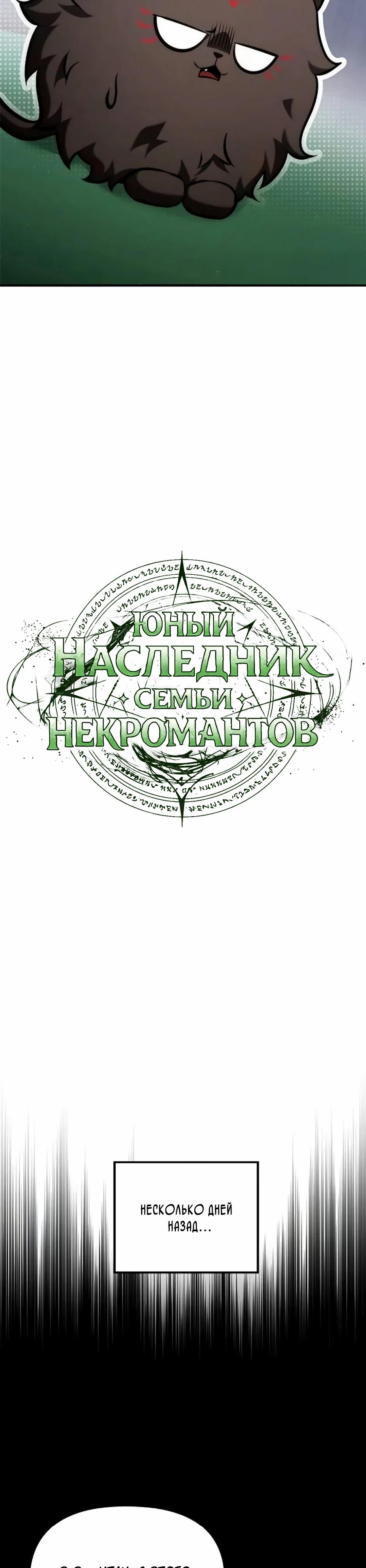 Манга Юный наследник семьи некромантов - Глава 62 Страница 27