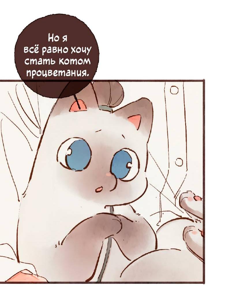 Манга Котёнок удачи - Глава 32 Страница 23