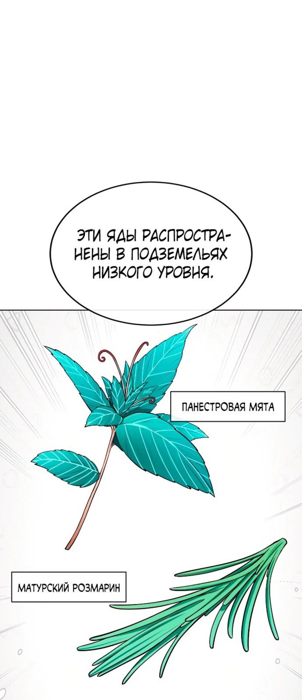 Манга Начинающий шеф-повар - Глава 29 Страница 4