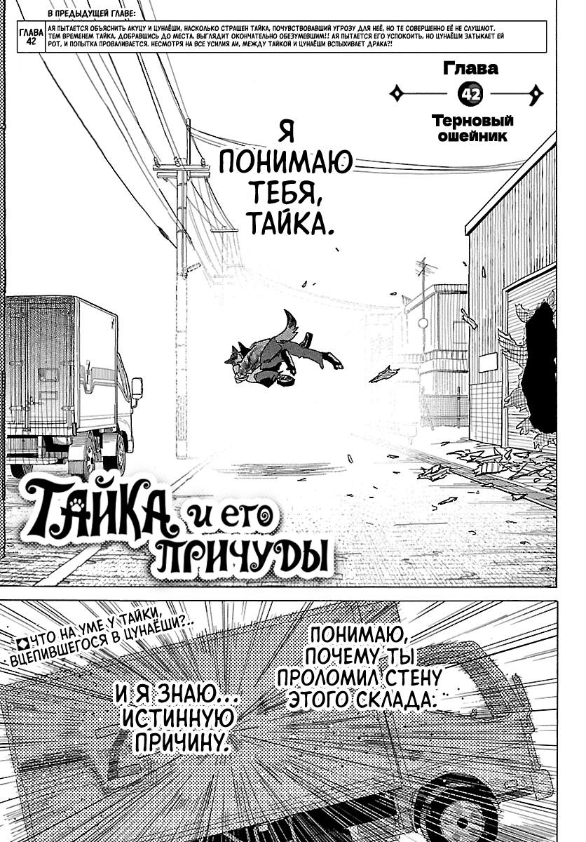 Манга Тайка и его Причины - Глава 42 Страница 1