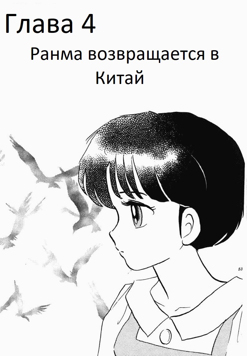 Манга Ранма 1/2 - Глава 4 Страница 2