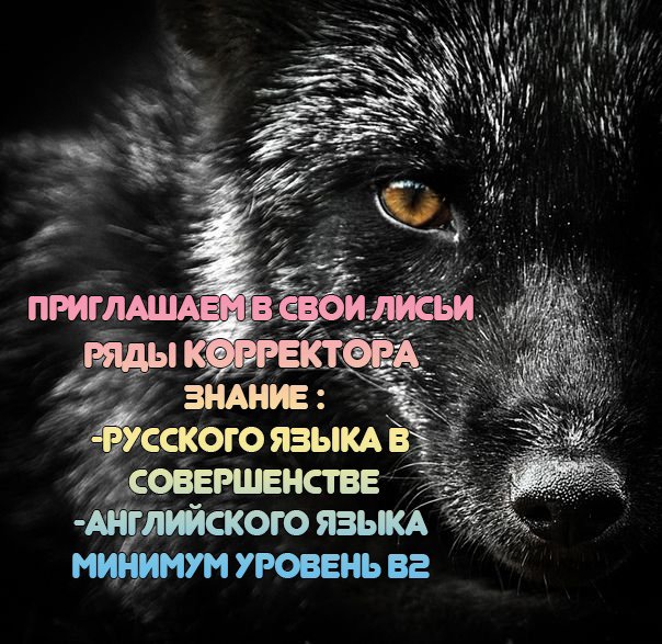 Манга Сосед Металлист-сан - Глава 1 Страница 47