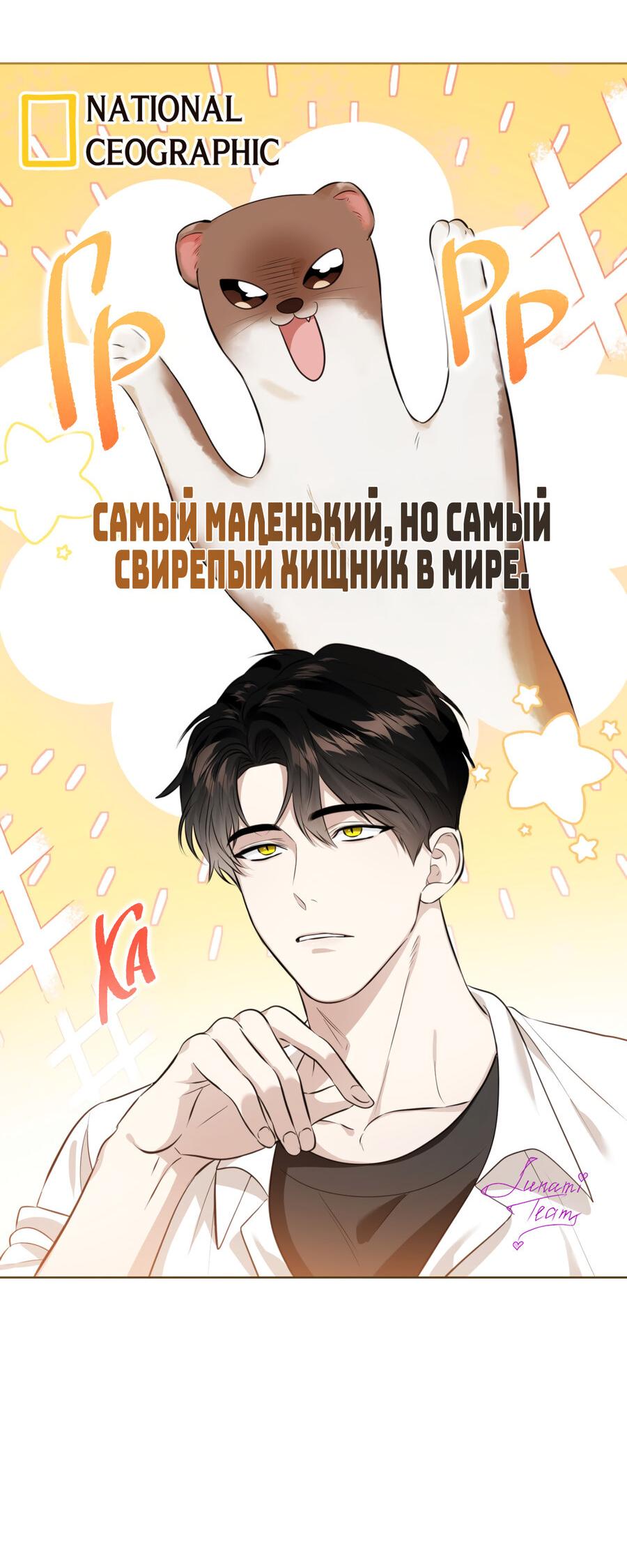 Манга Осторожно, хищник! - Глава 1 Страница 46