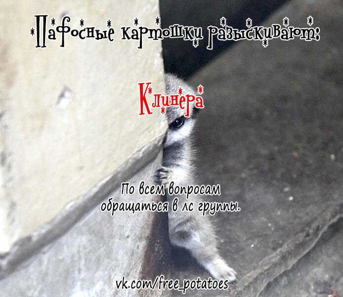 Манга План D - Глава 20 Страница 4