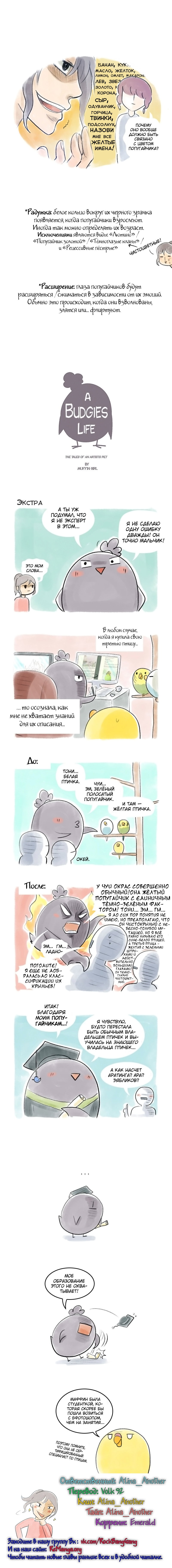 Манга Жизнь волнистого попугайчика! - Глава 34 Страница 4