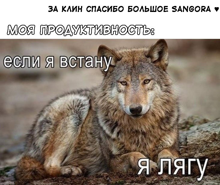 Манга Второй брак императрицы - Глава 18 Страница 13