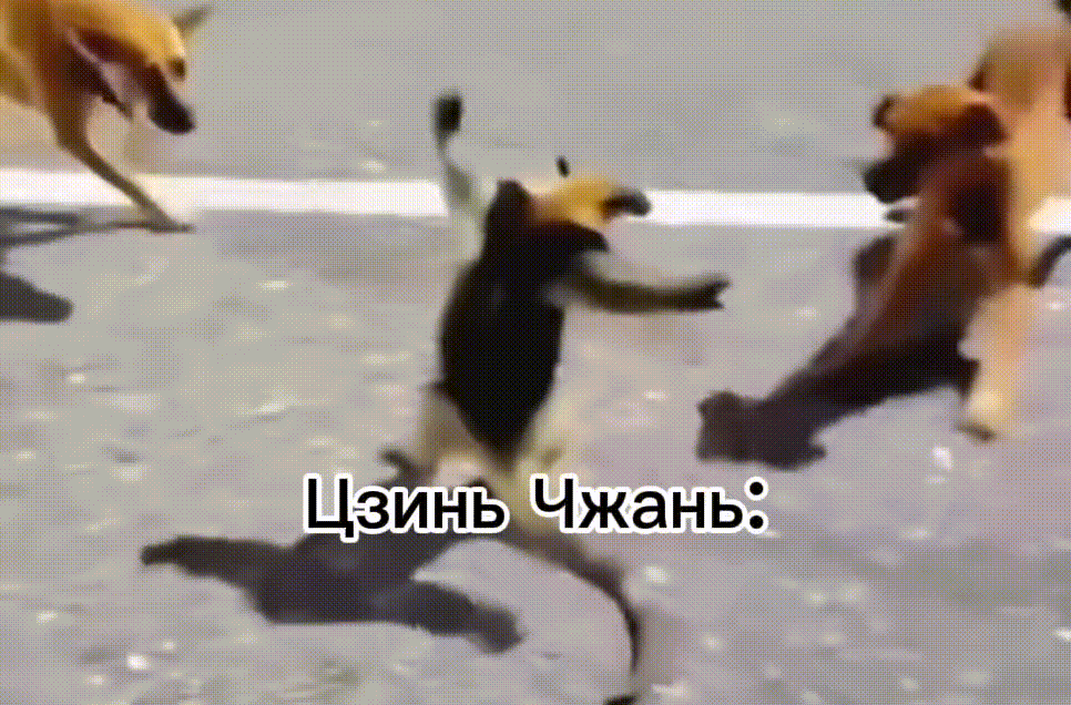 Манга 18 без ограничения - Глава 236 Страница 11