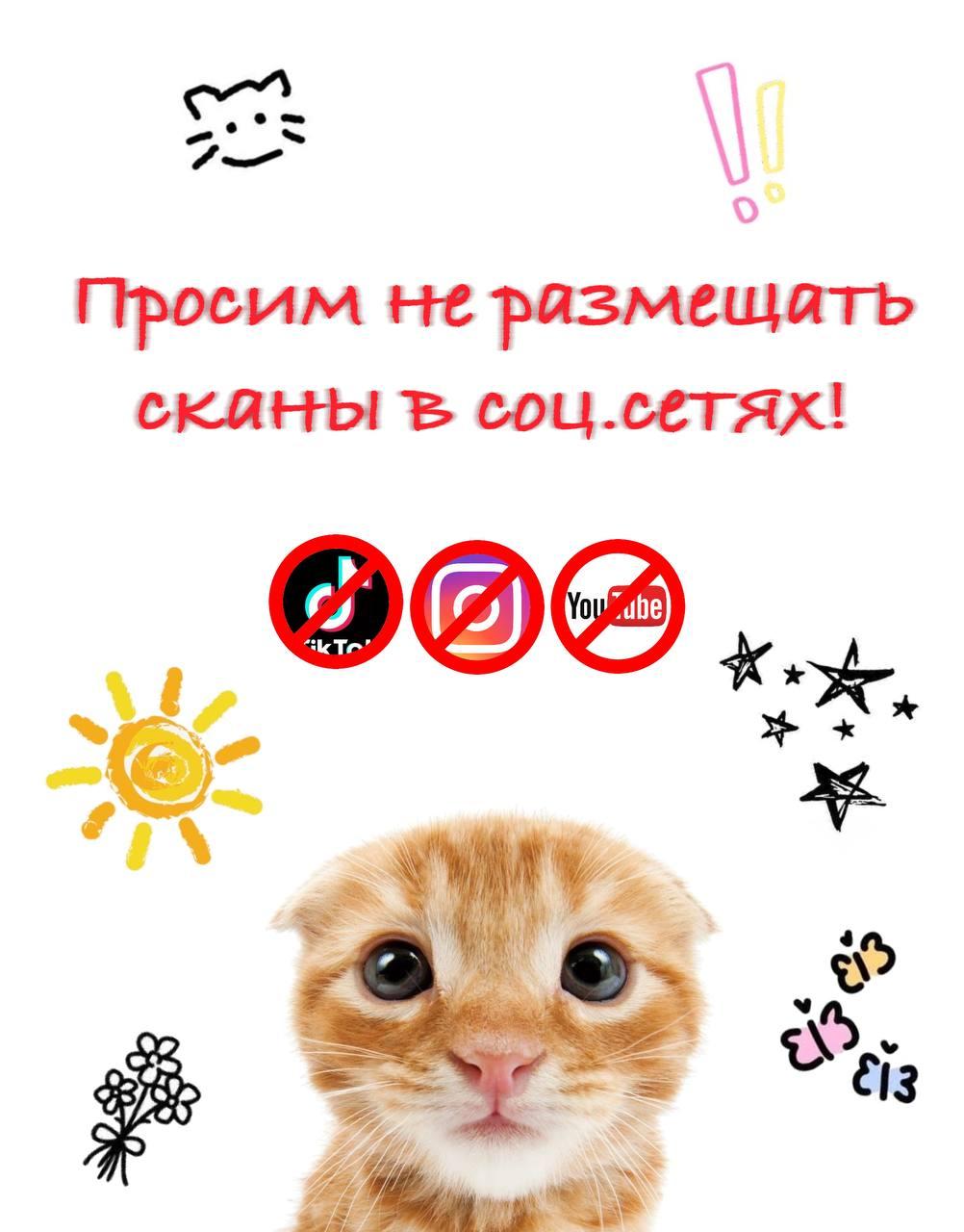 Манга Золотой бронированный дракон - Глава 47 Страница 1