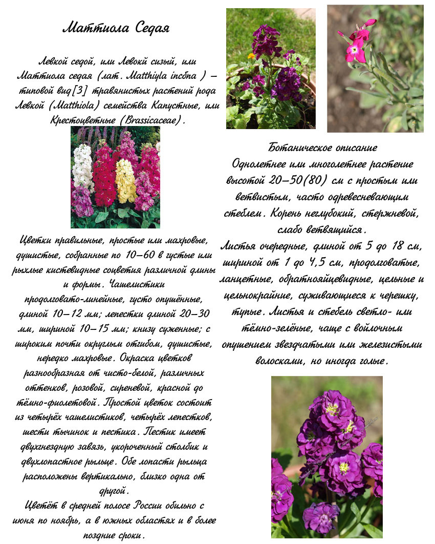 Манга Поцелуй / Объятия - Глава 13 Страница 2