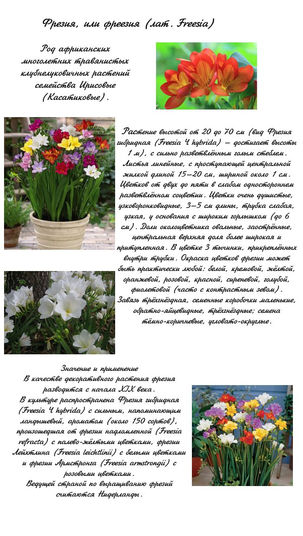 Манга Поцелуй / Объятия - Глава 9 Страница 36