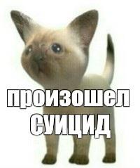 Манга Благодетель демона - Глава 34 Страница 8