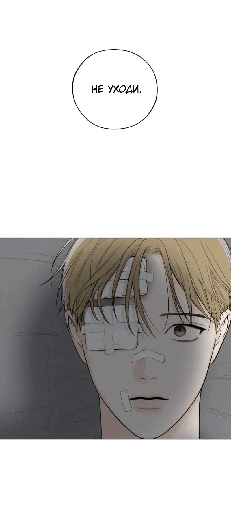 Манга Декабрь - Глава 55 Страница 54