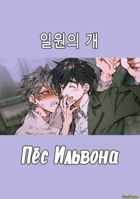 Пёс Ильвона